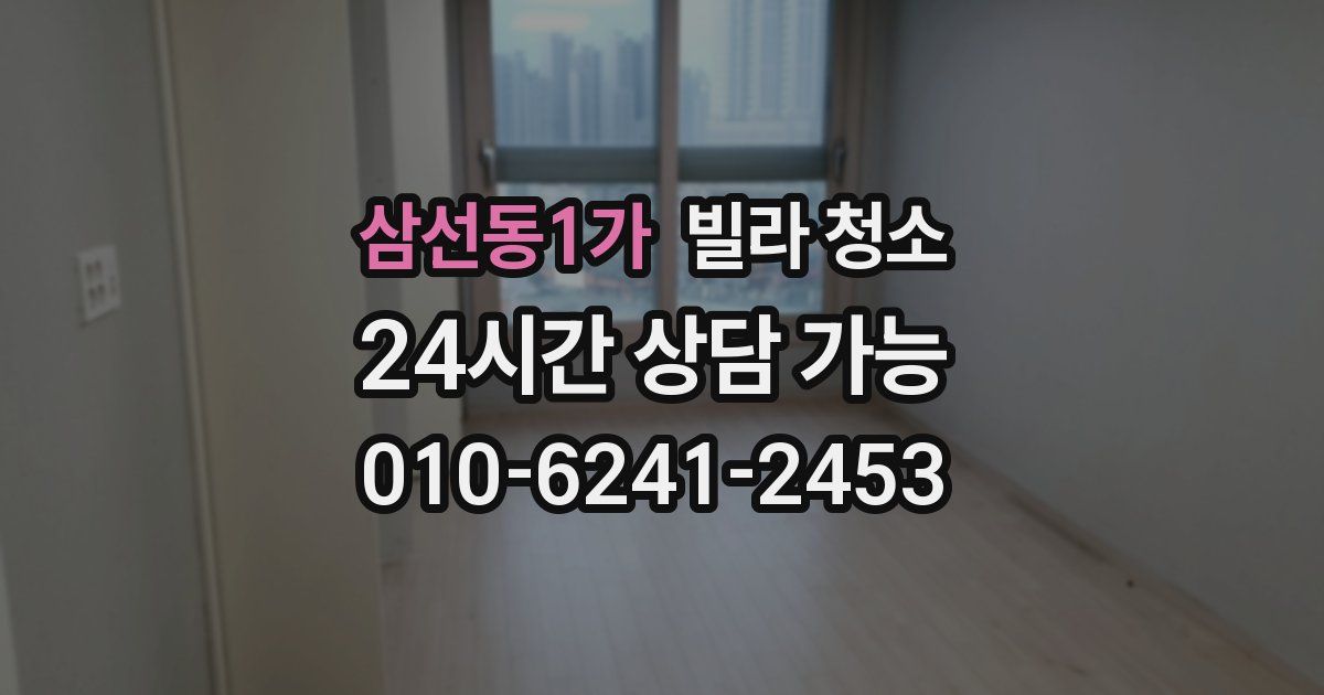 삼선동1가 빌라 청소