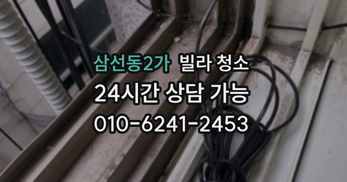 삼선동2가 빌라 청소