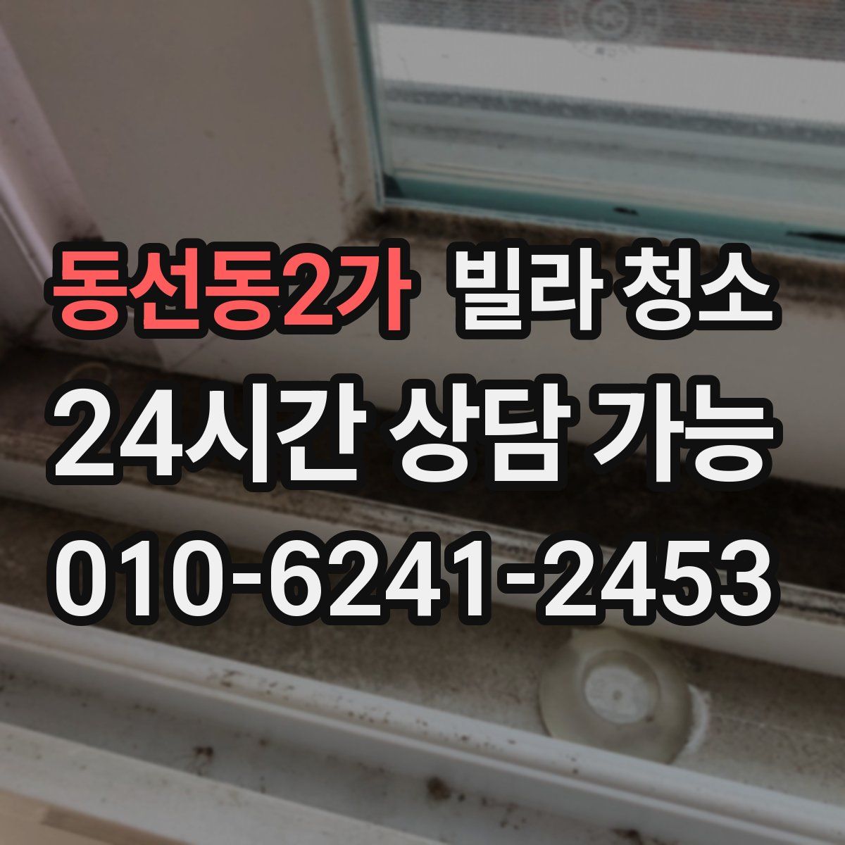 동선동2가 빌라 청소