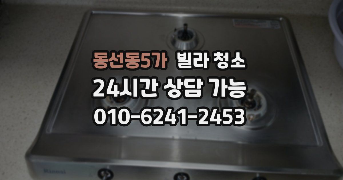 동선동5가 빌라 청소