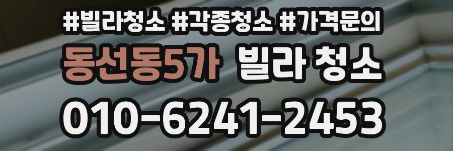 동선동5가 빌라 청소