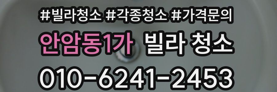 안암동1가 빌라 청소