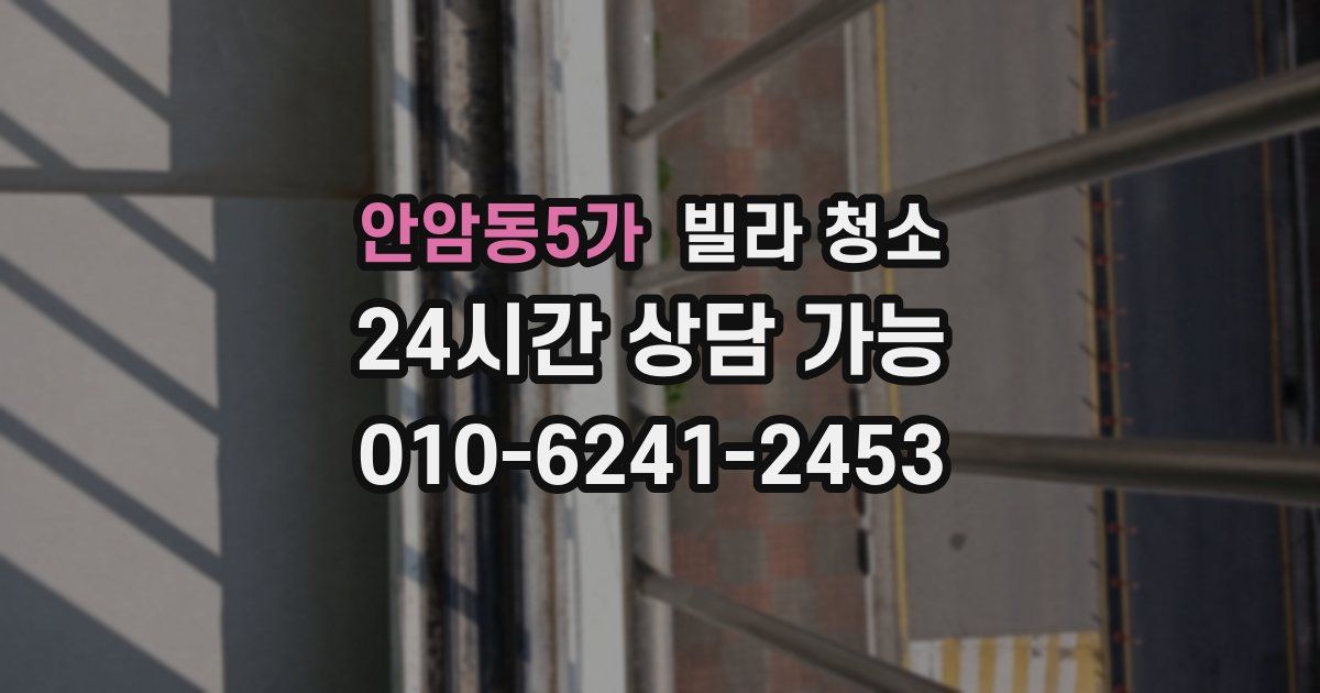 안암동5가 빌라 청소
