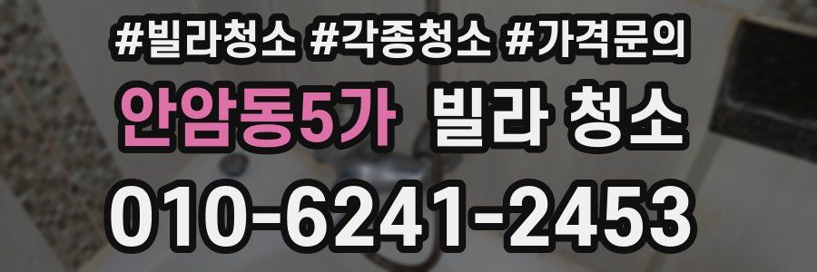 안암동5가 빌라 청소