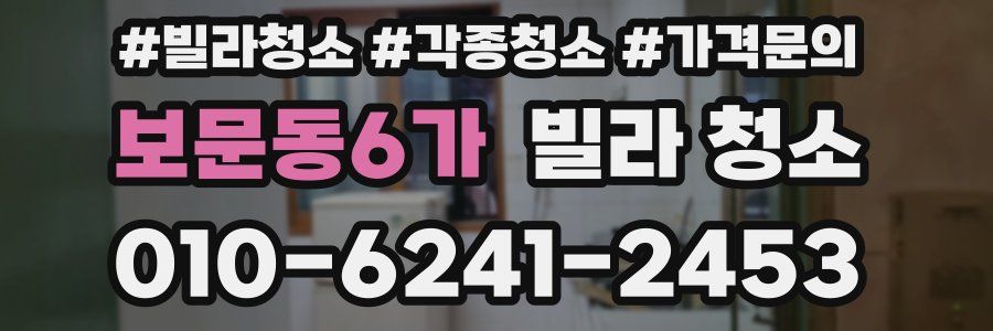 보문동6가 빌라 청소