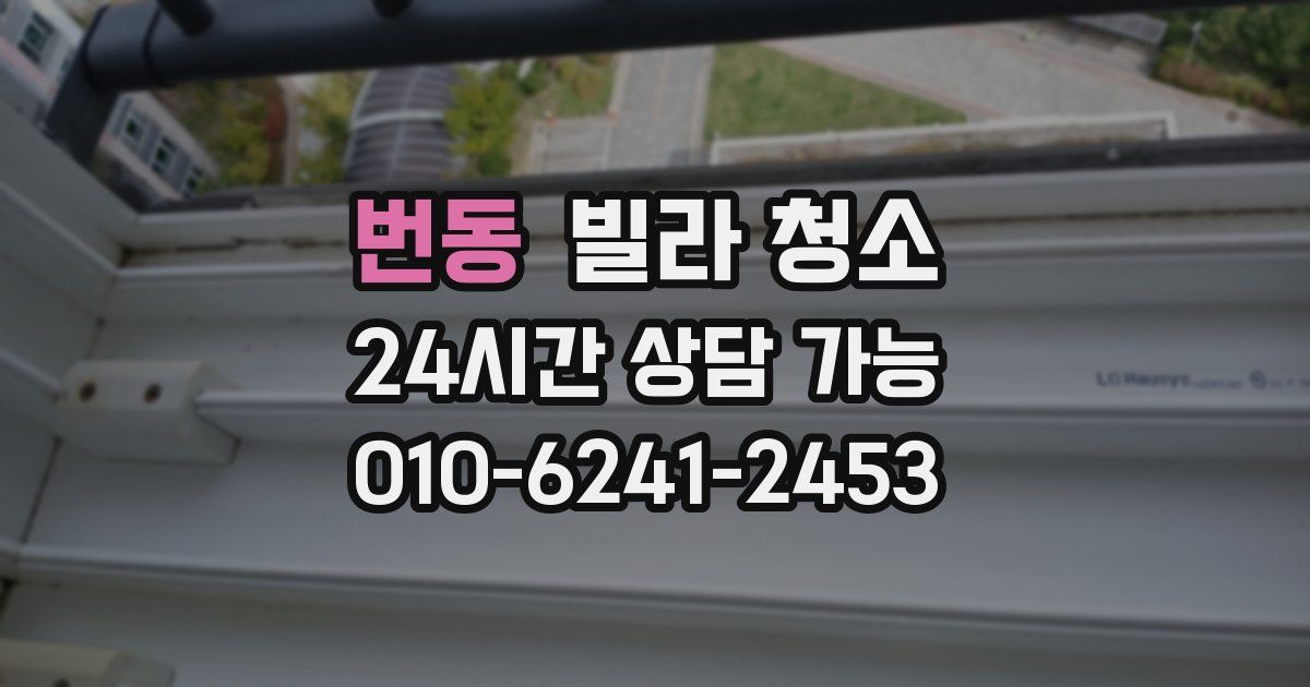 번동 빌라 청소