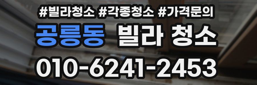 공릉동 빌라 청소