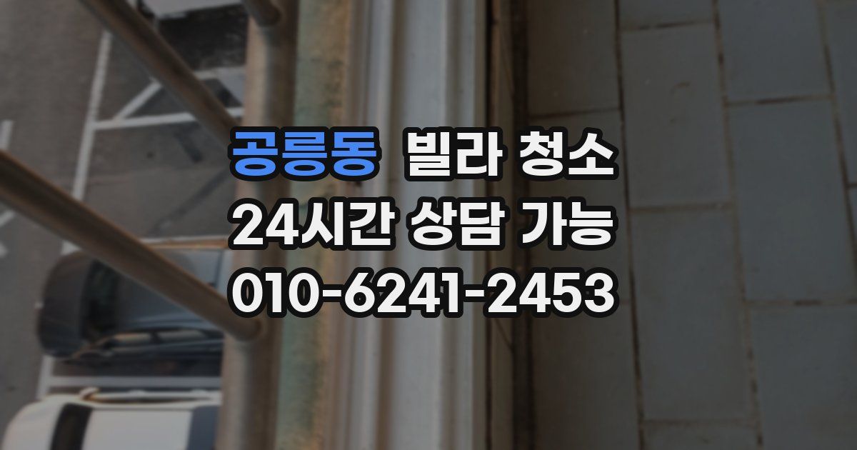 공릉동 빌라 청소