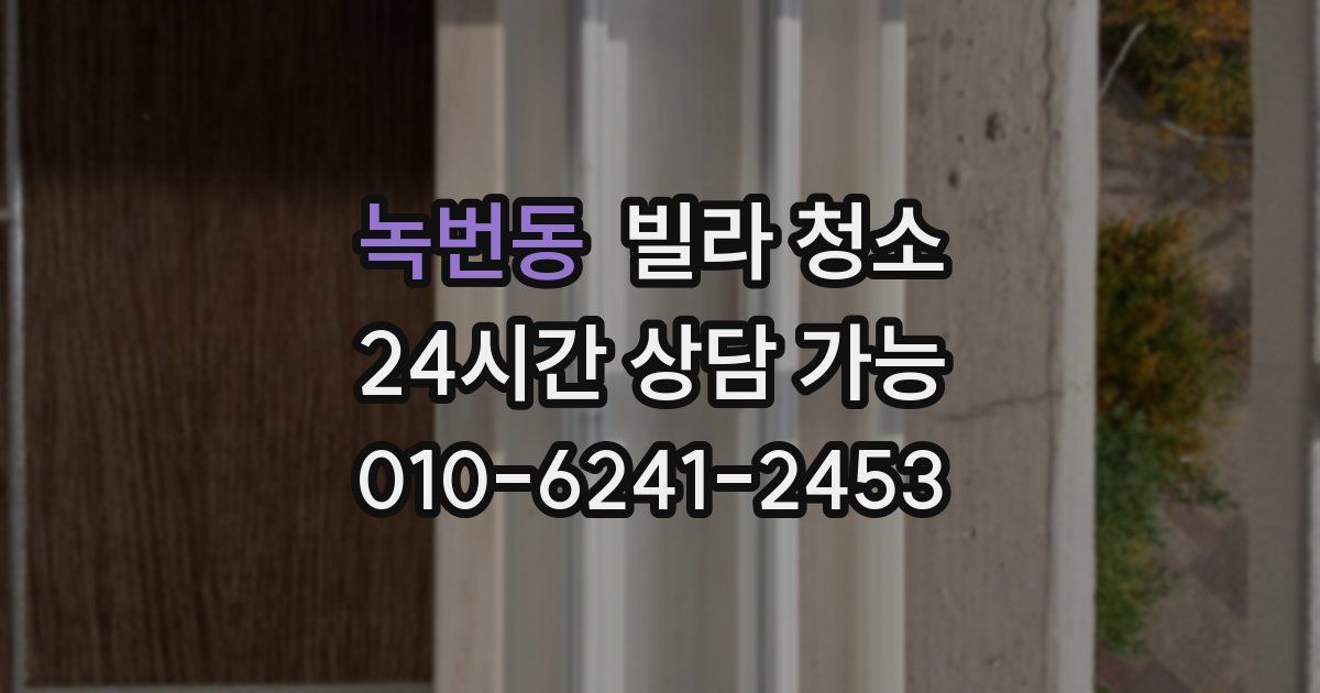 녹번동 빌라 청소