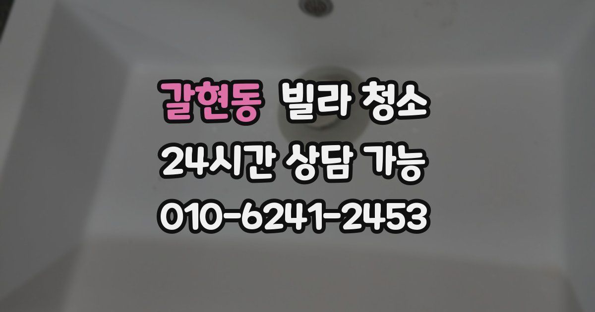 갈현동 빌라 청소