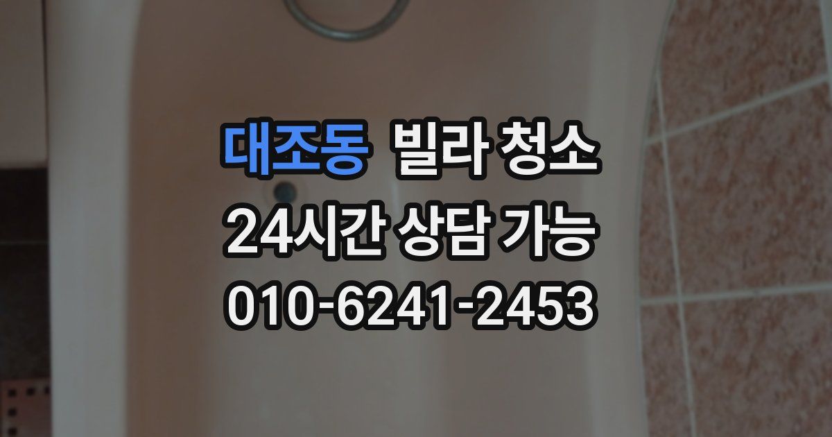 대조동 빌라 청소