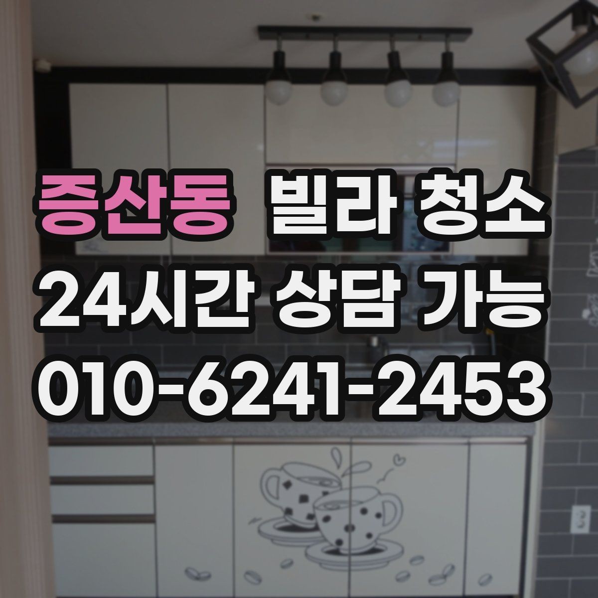 증산동 빌라 청소 조명 커버 안쪽 벌레 먼지 제거 팁