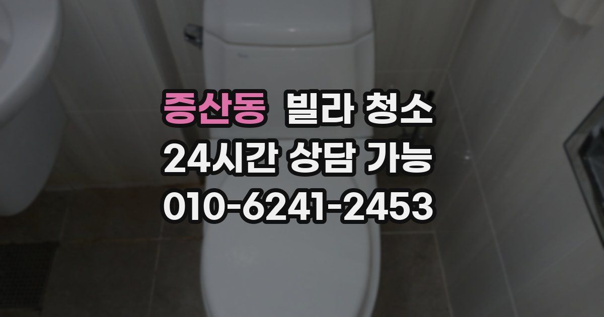 증산동 빌라 청소