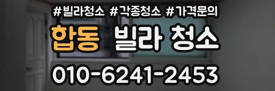 합동 빌라 청소