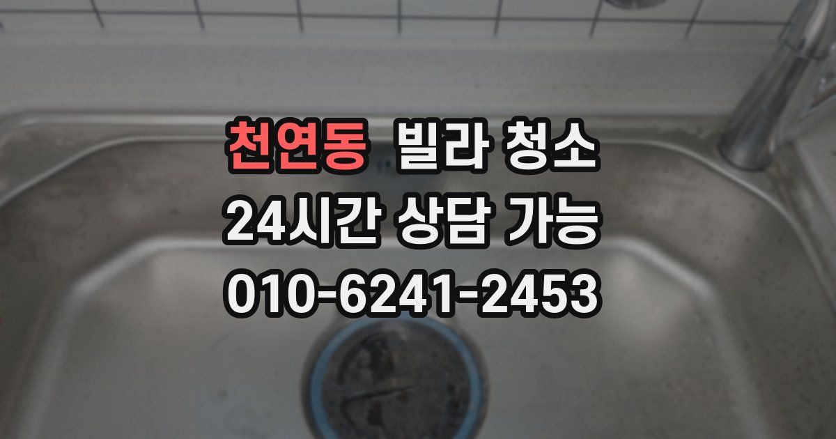 천연동 빌라 청소