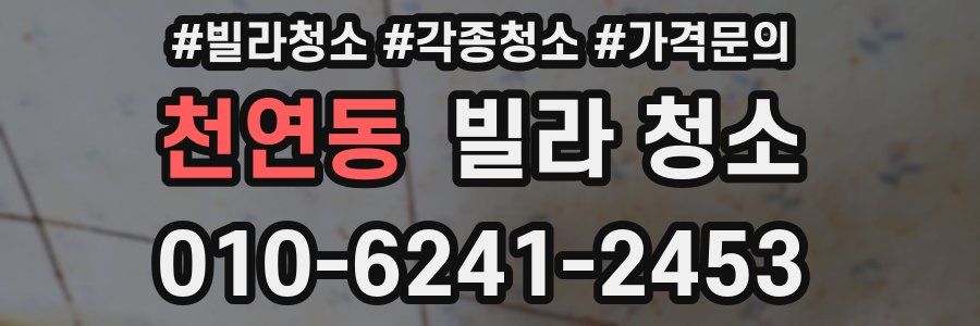 천연동 빌라 청소