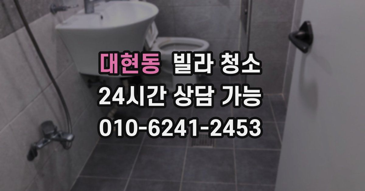 대현동 빌라 청소