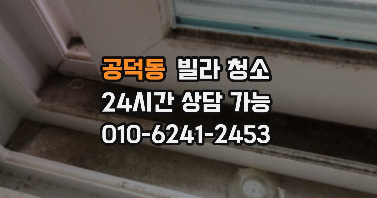 공덕동 빌라 청소