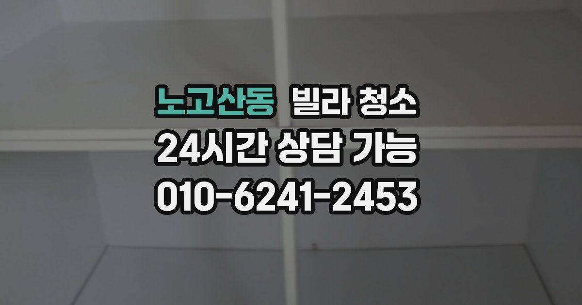 노고산동 빌라 청소