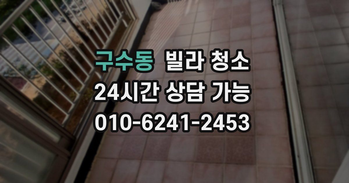 구수동 빌라 청소