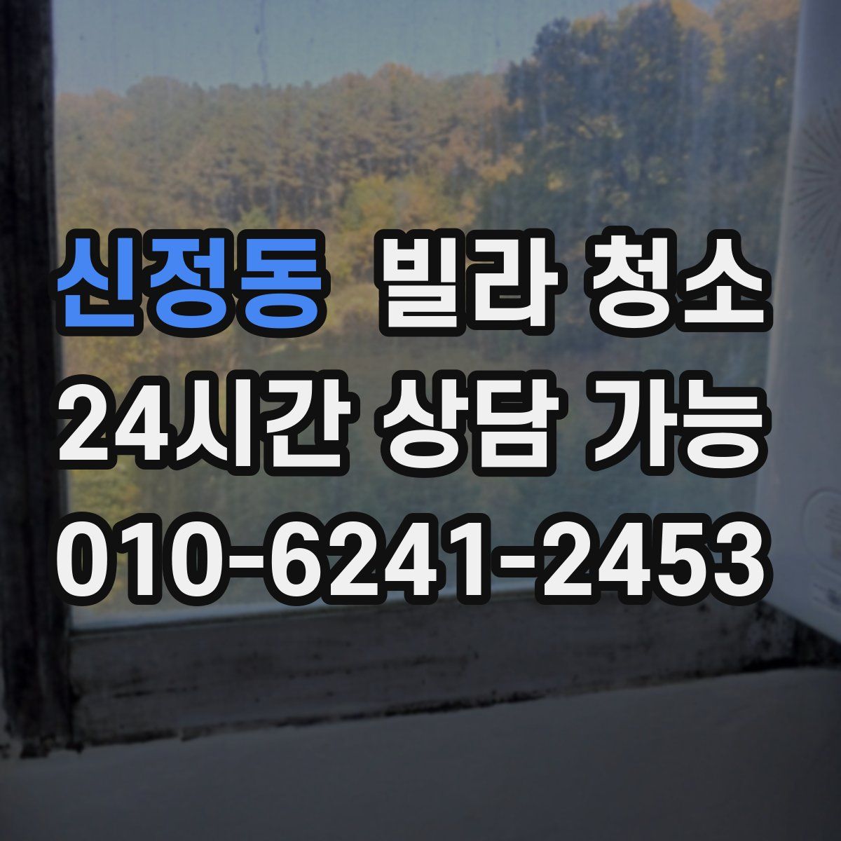 신정동 빌라 청소