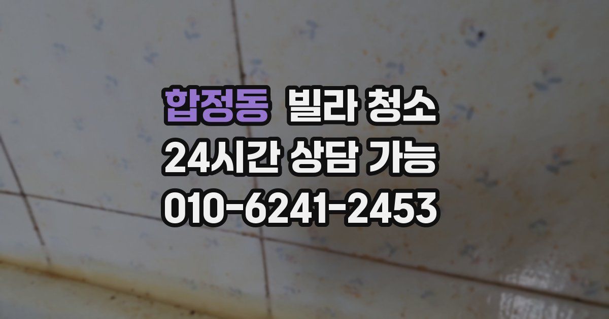 합정동 빌라 청소