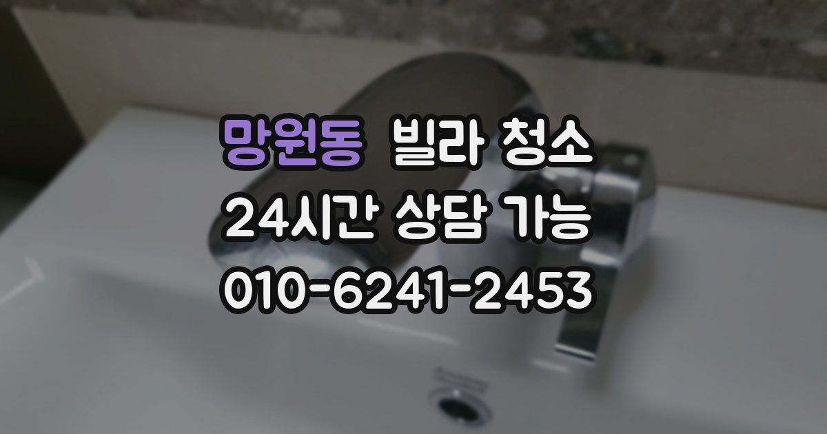 망원동 빌라 청소