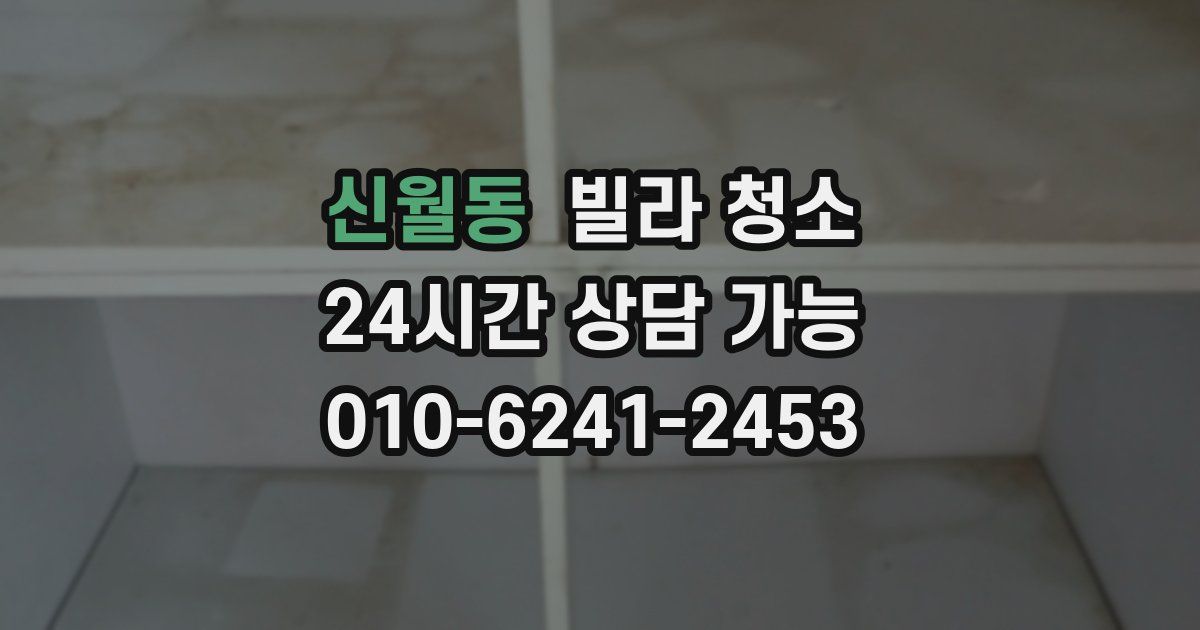 신월동 빌라 청소
