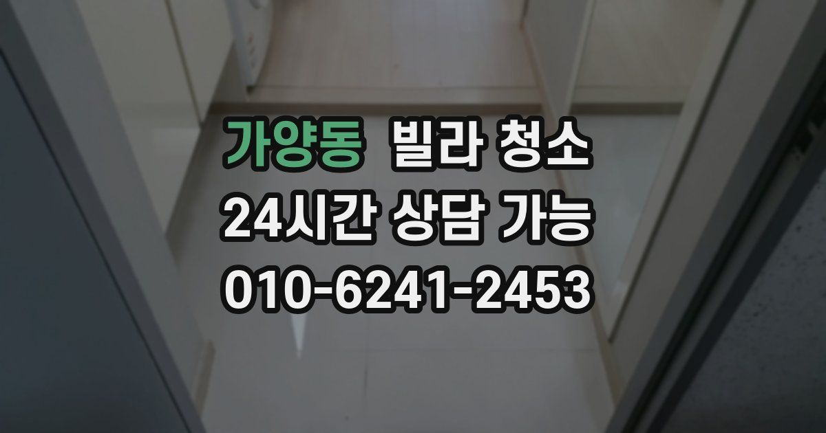 가양동 빌라 청소