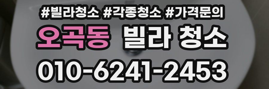 오곡동 빌라 청소