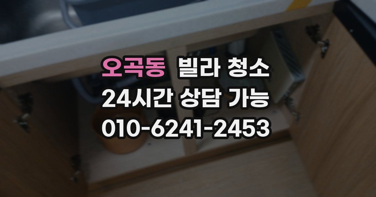 오곡동 빌라 청소