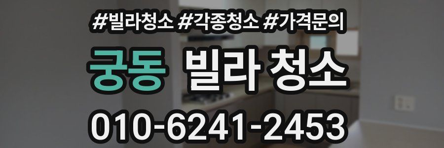 궁동 빌라 청소