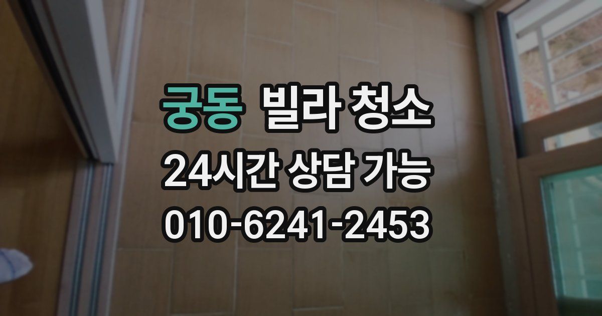 궁동 빌라 청소