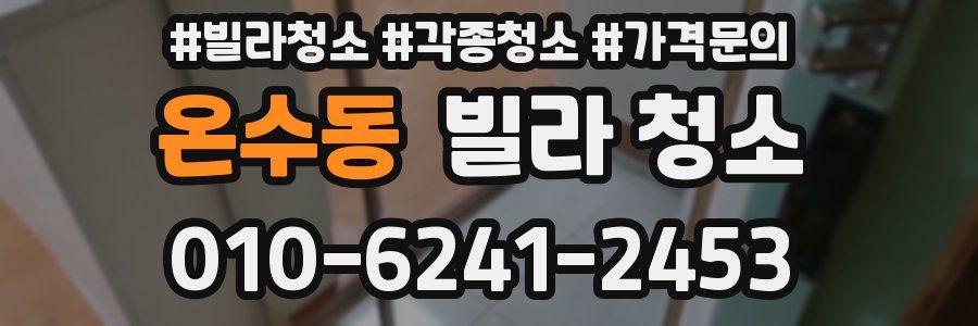 온수동 빌라 청소