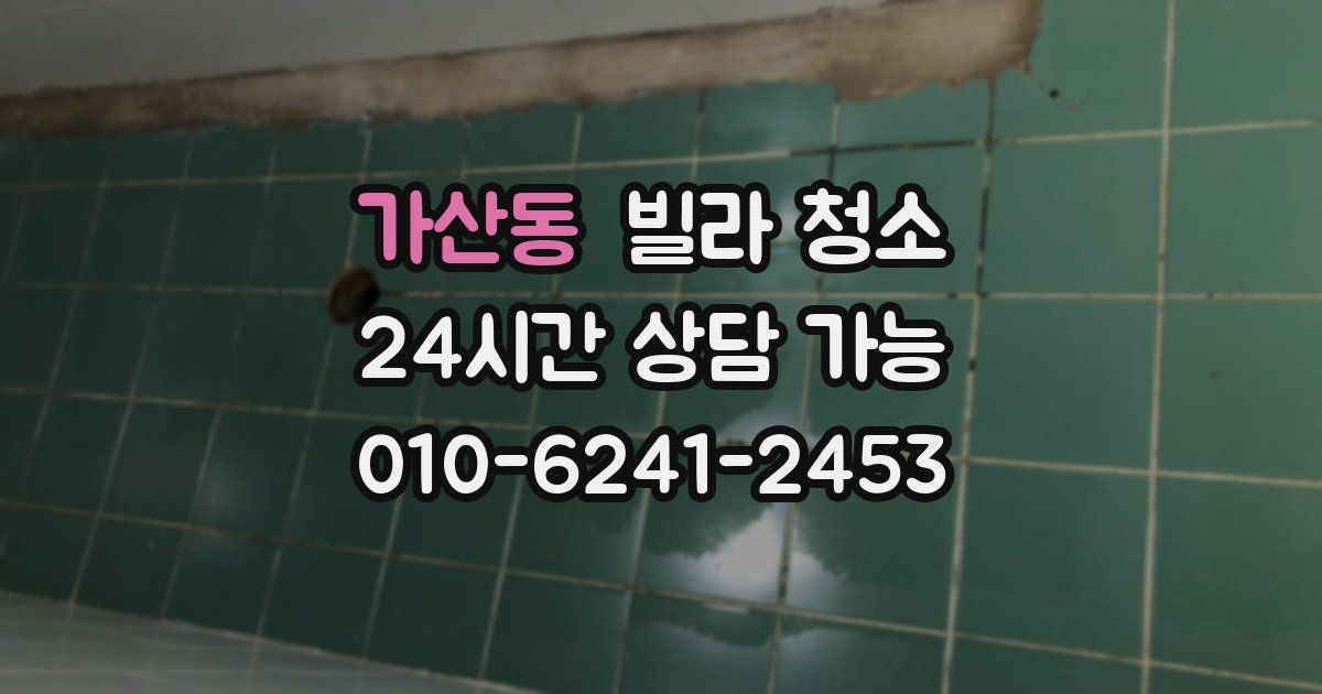 가산동 빌라 청소