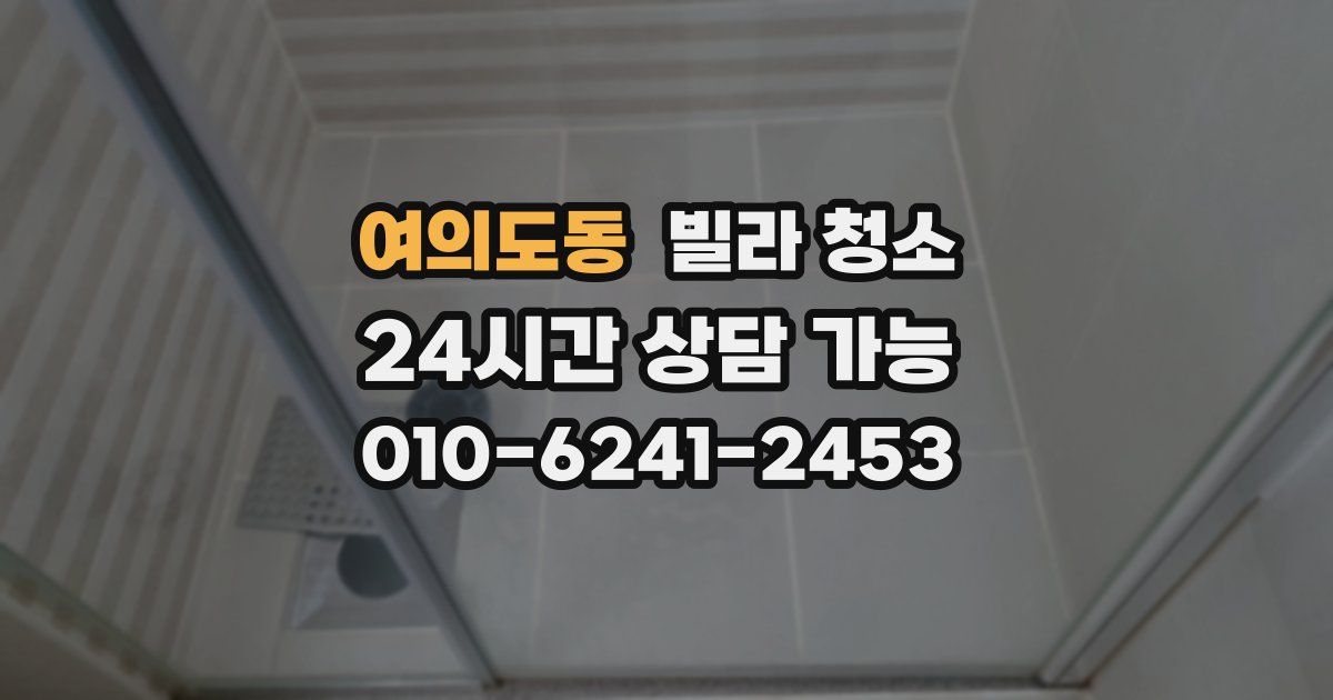 여의도동 빌라 청소