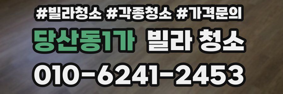 당산동1가 빌라 청소