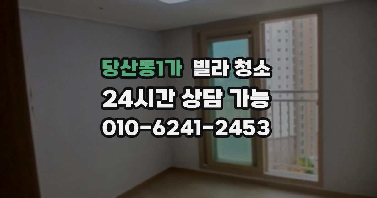 당산동1가 빌라 청소