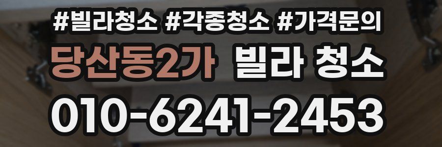 당산동2가 빌라 청소