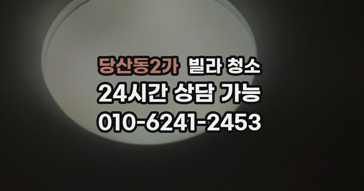 당산동2가 빌라 청소