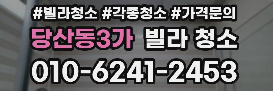 당산동3가 빌라 청소