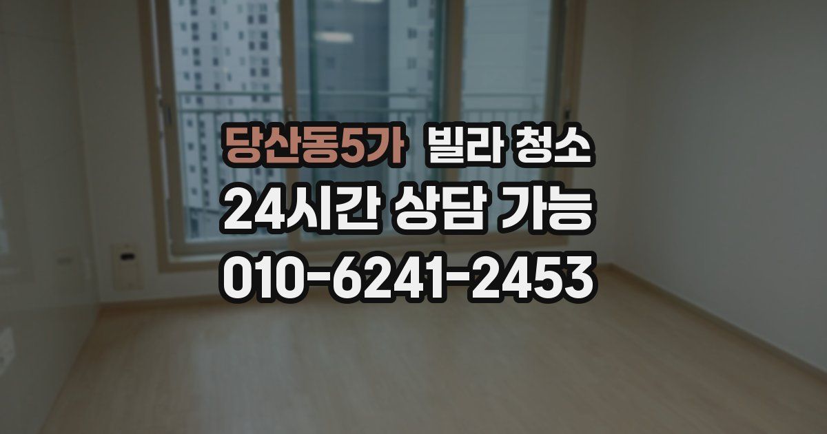 당산동5가 빌라 청소