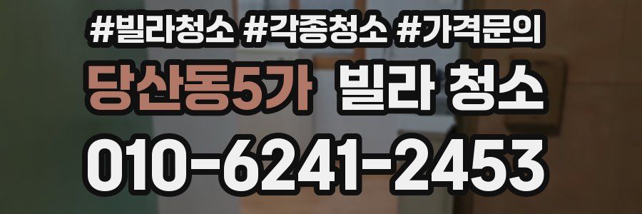 당산동5가 빌라 청소