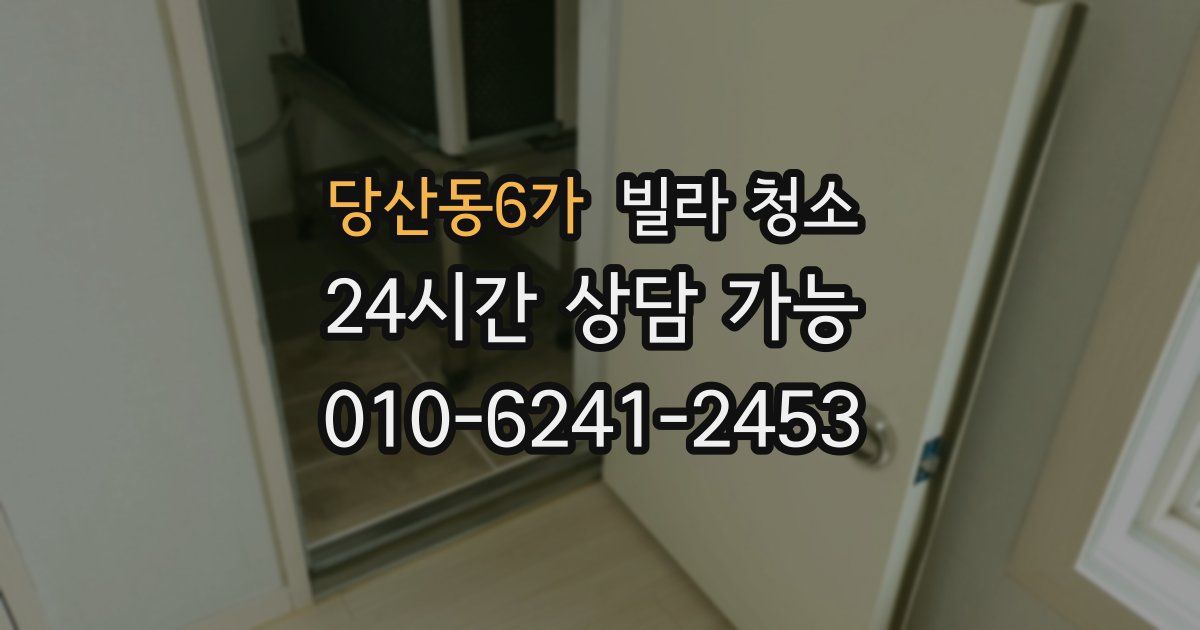 당산동6가 빌라 청소