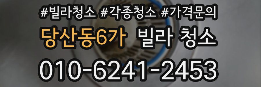 당산동6가 빌라 청소