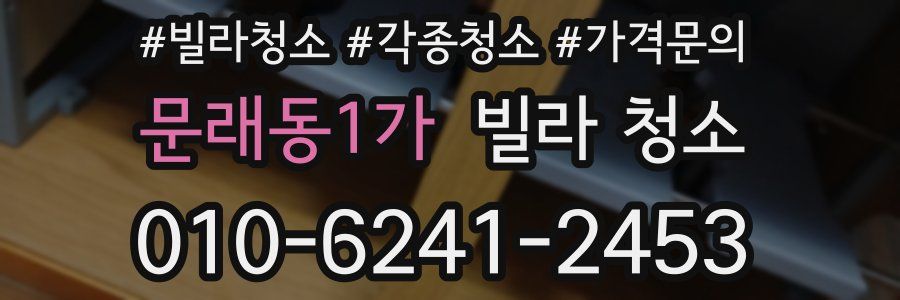 문래동1가 빌라 청소