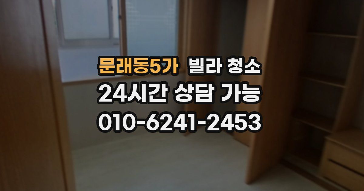 문래동5가 빌라 청소