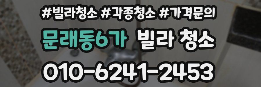 문래동6가 빌라 청소