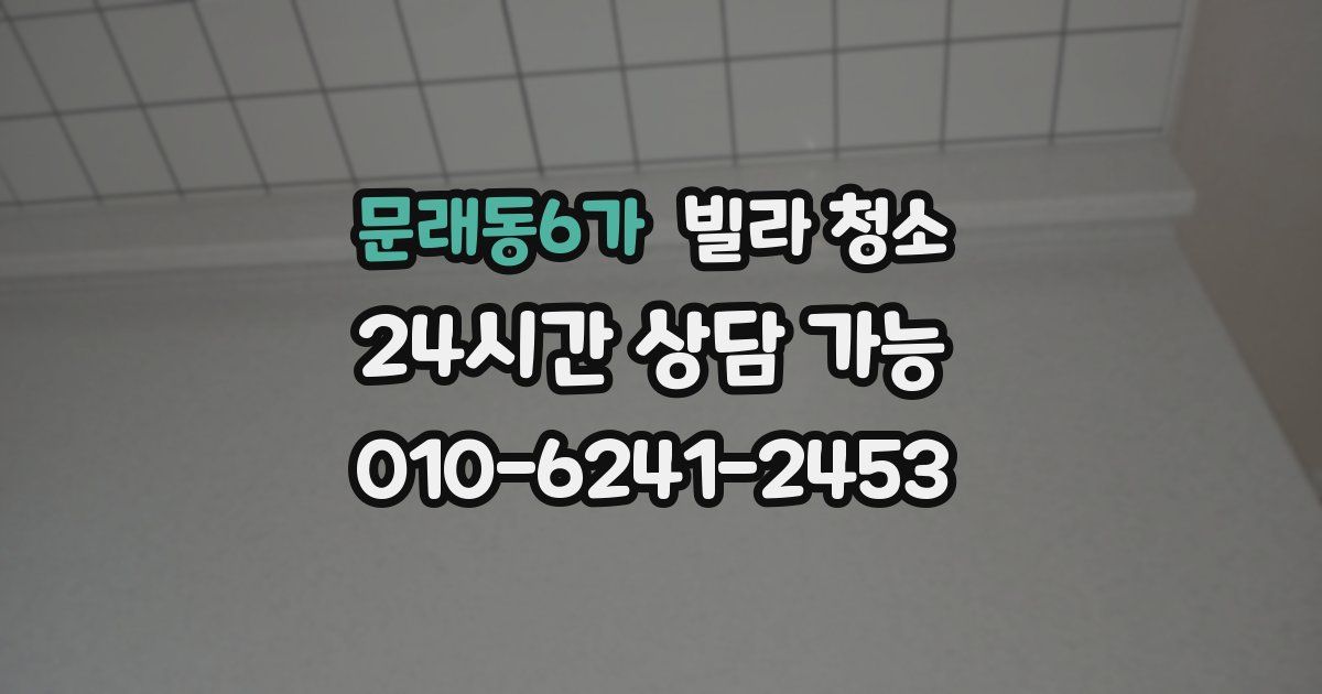 문래동6가 빌라 청소