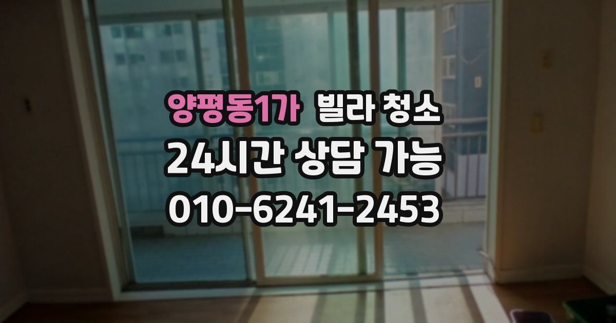 양평동1가 빌라 청소